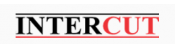 intercut_cz
